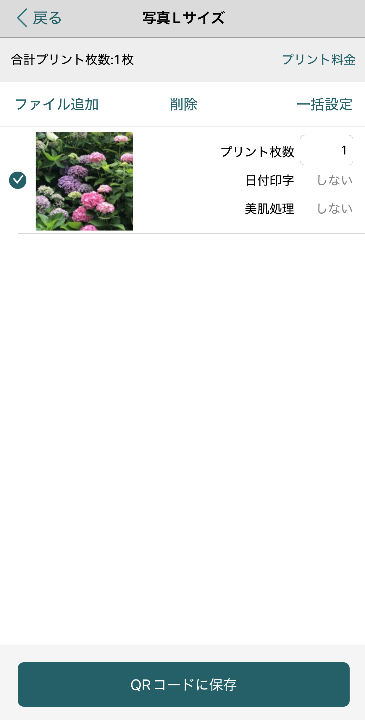 [説明用の画像]