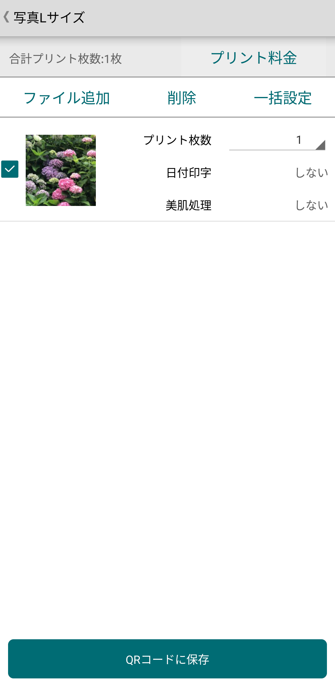 [説明用の画像]