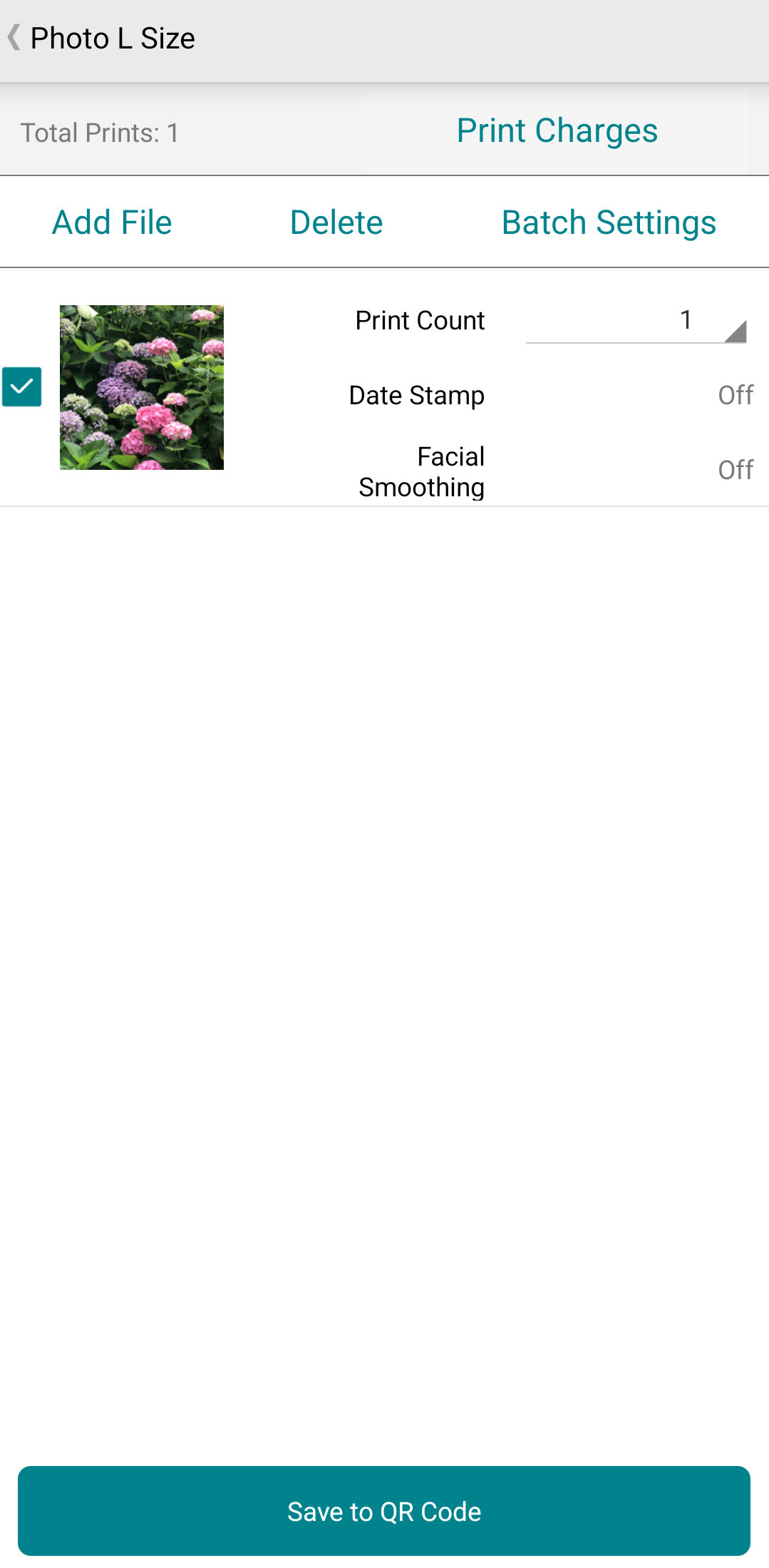 [説明用の画像]