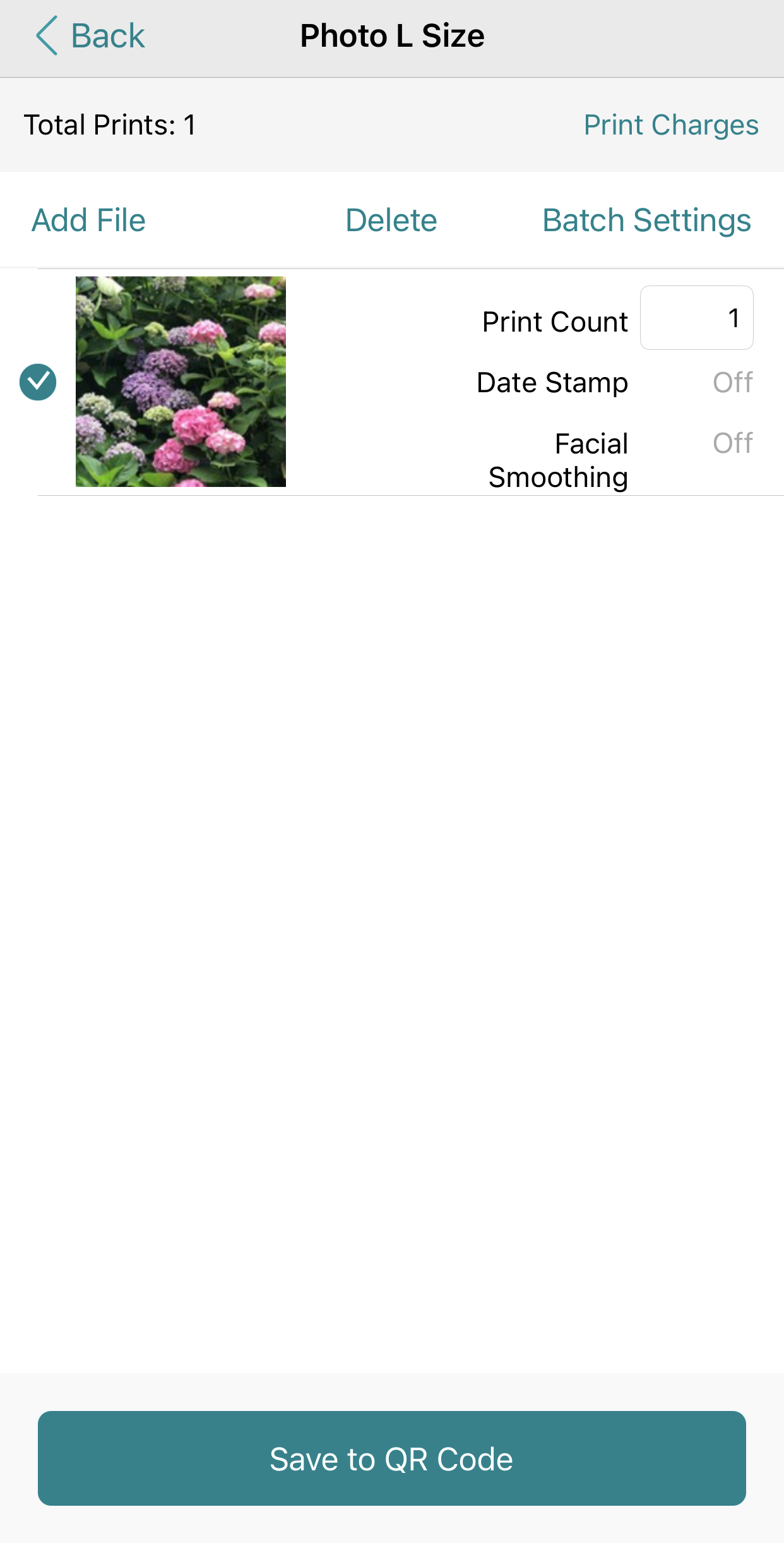 [説明用の画像]