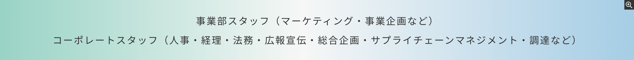 事業本部スタッフ（マーケティング・事業企画など）コーポレートスタッフ（人事・経理・法務・広報宣伝・総合企画・サプライチェーンマネジメント・調達など）