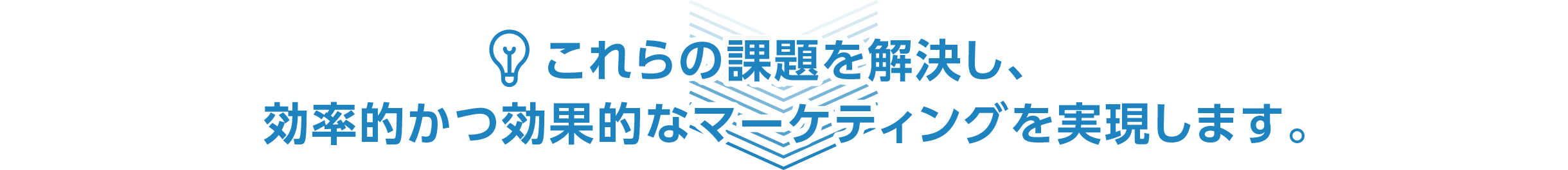 効率的かつ効果的なマーケティングを実現します。