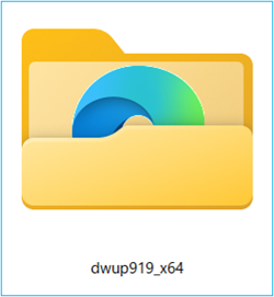 解凍後ファイルアイコン